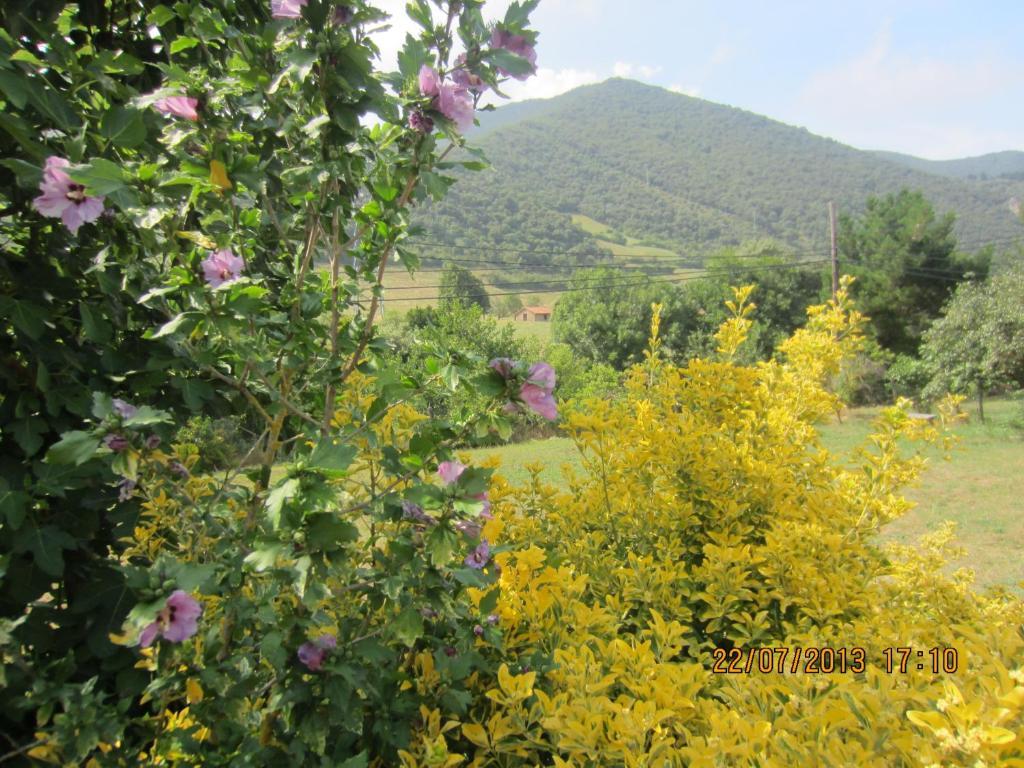 Hostal Toscana Ojedo Zewnętrze zdjęcie